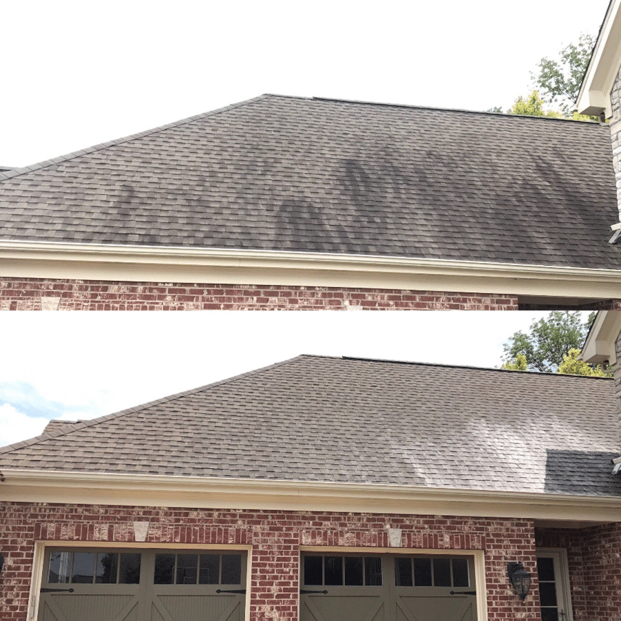 palmetto asphalt roof cleaning