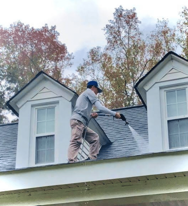 palmetto roof soft washing
